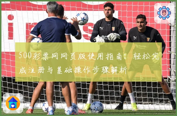 500彩票网网页版使用指南：轻松完成注册与基础操作步骤解析