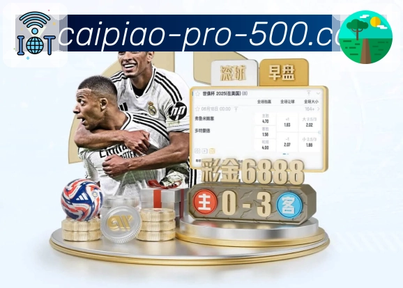 一站式赛果查询服务